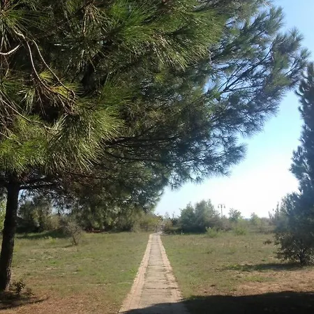Appartement Pineta - Due Matrimoniali Fronte Mare